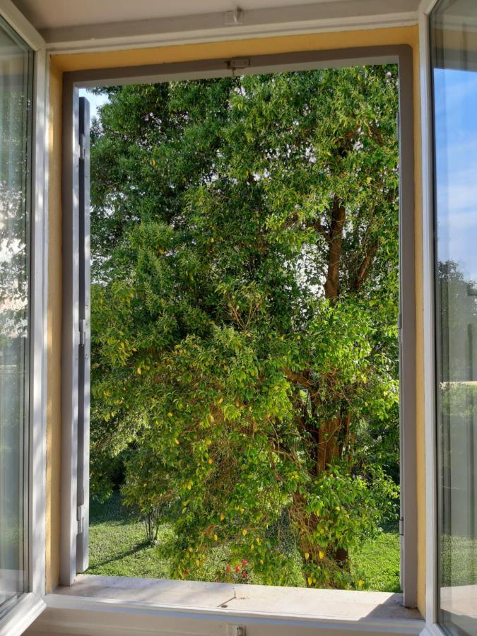 IV Casale Roma Country Villa Экстерьер фото
